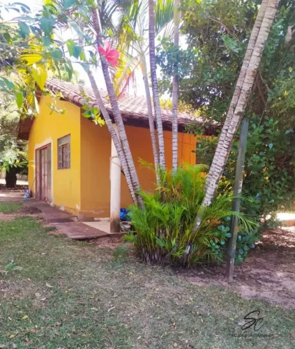 Excelente chácara à venda em Uchoa/SP  Bairro Mangueiras
