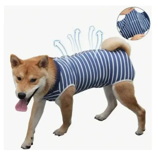 Roupa Macacão Pós-operatório Para Cães E Gatos