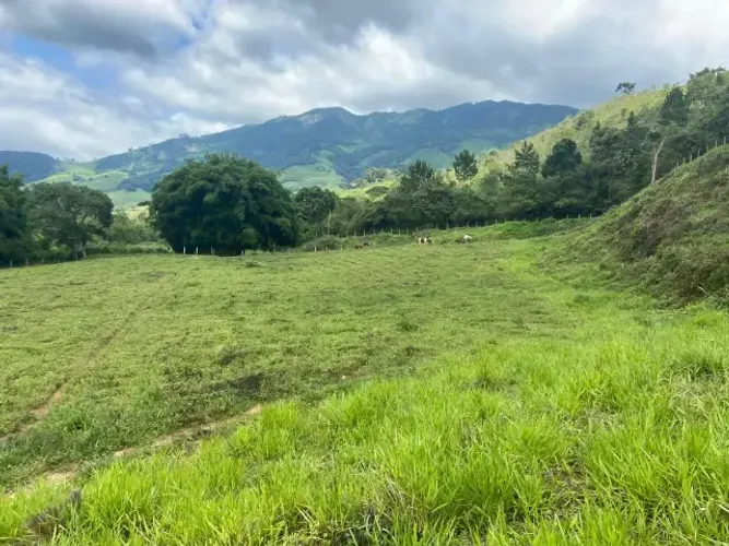 Excelente chácara de 18.000m2 com ótima topografia e acesso! Delfim Moreira