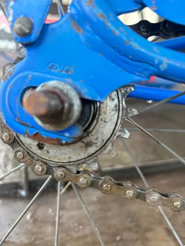 Bicicleta Ceci Caloi