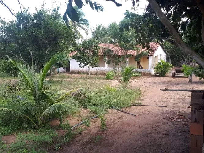 VENDE-SE SÍTIO COM APROXIMADAMENTE 40000M², MUNICÍPIO DE SOBRADO/PB
