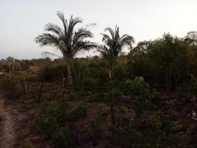 TERRENO À VENDA NA CHAPADINHA-SUL - EXCELENTE OPORTUNIDADE!