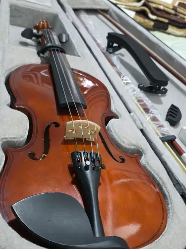 Violino de luteria 4/4 completo - Excelente estado