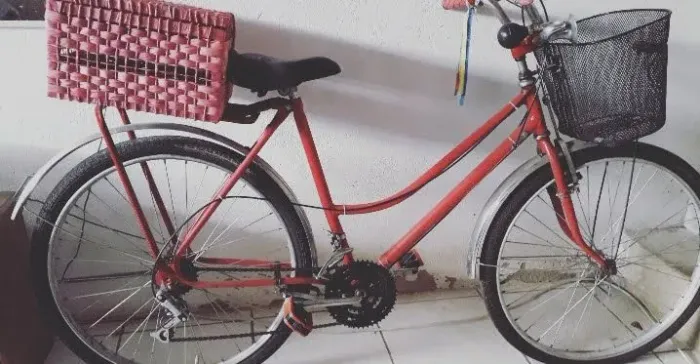 Bicicleta feminina