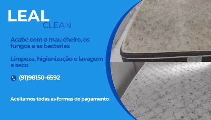 LIMPESA E HIGIENIZAÇÃO DE ESTOFADOS ( LAVAGEM A SECO )