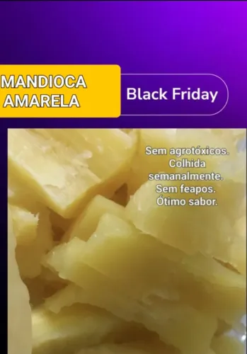 Mandioca amarela NOVINHA e sem agrotóxicos
