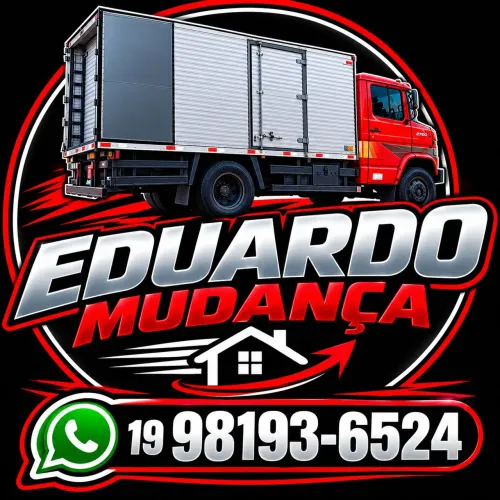 mudança campinas