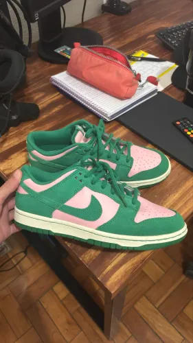 Nike Dunk 40