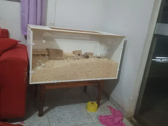 Terrário para hamster 1 x 1,5m - Brasília