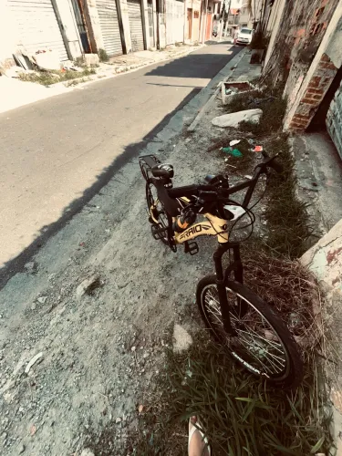 Bike raio aro 24