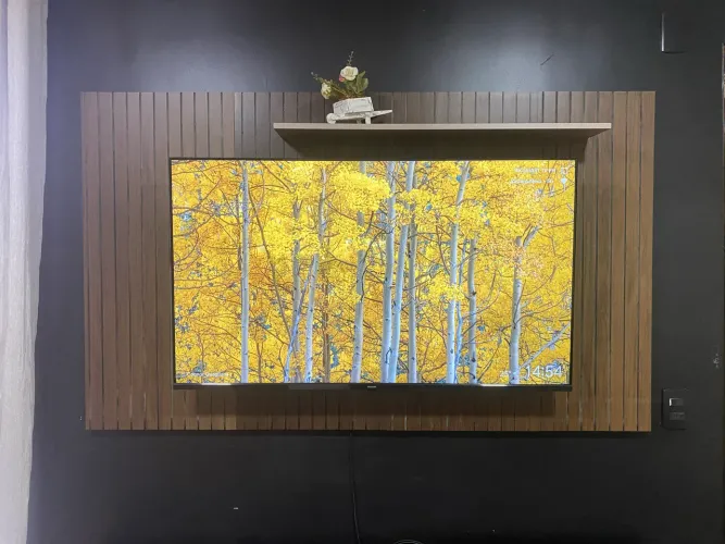 Televisão Philips 55 polegadas 