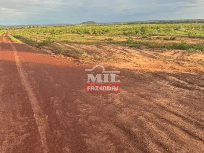 Fazenda 884 Alqueires (4.279 hectares) Barra do Ouro - TO