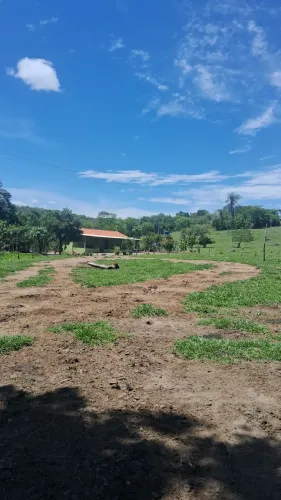 Venda