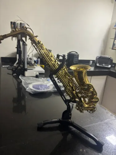 Saxofone Michael Essence - Impecavel