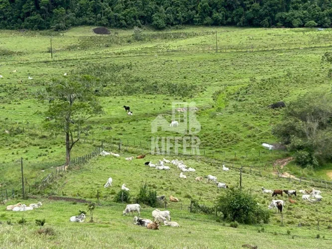 Fazenda à Venda em Rio Bonito 121 Hectares (25 Alqueires) com Estrutura Completa e Docume
