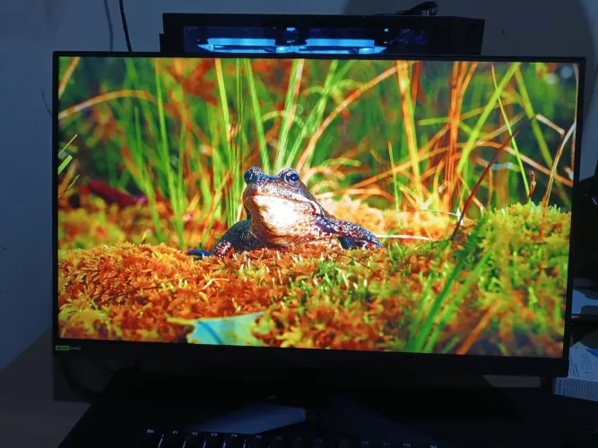 Monitor Gamer LG UltraGear 24" Full HD 180Hz