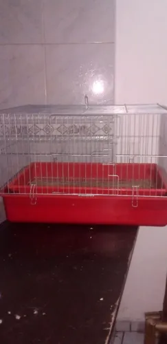Gaiola pra Ramister e outros