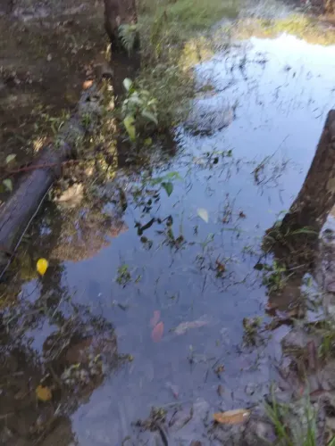 SÍTIO À VENDA RIO PRETO DA EVA/AM