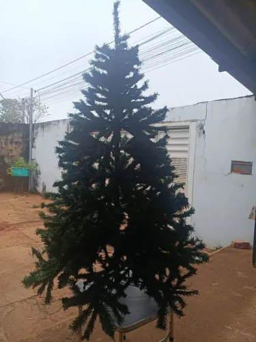 Árvore de Natal