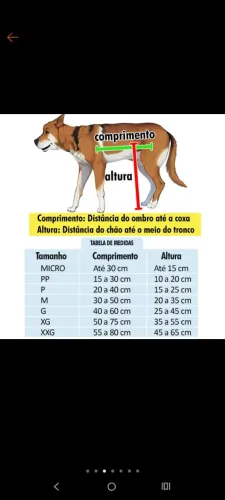 Andador para cães