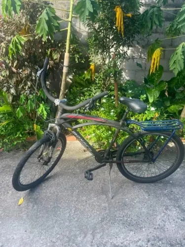 Bicicleta Aro 29