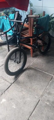 Bmx cult short