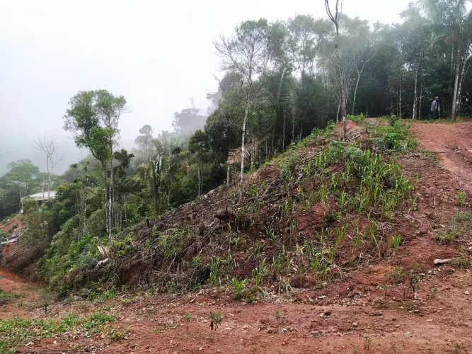 Chácara Marechal Floriano Costa pereira 