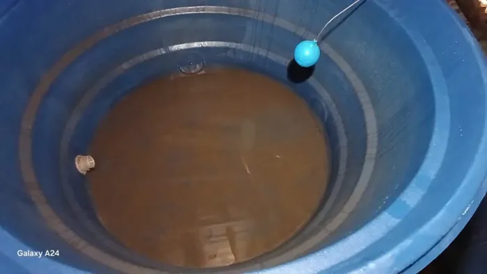 Dedetização e limpeza de reservatório de água