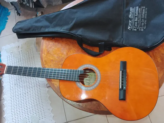 Viola acústica giannini