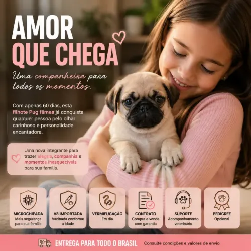 Filhote Pug  femea Vacinado - Pronto para Nova Família