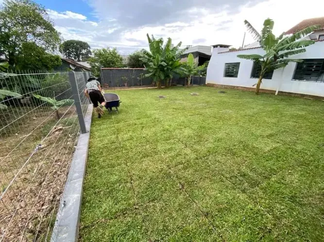 Grama Esmeralda Instalada Jardinagem 