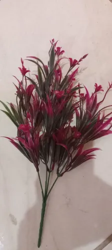 Plantas para aquário e decoração 