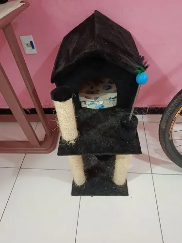 Casinha para gato