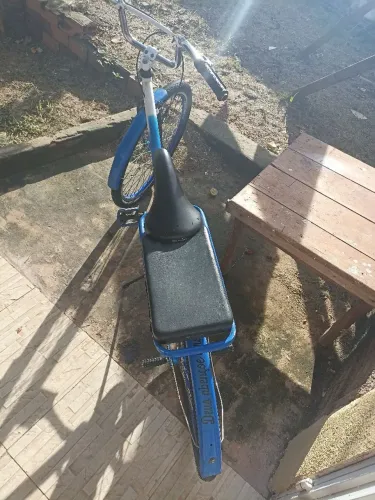 Vendo essa bicicleta poti grande em duas cores azul e branco valor 300