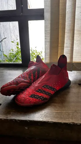 Chuteira society adidas predator 