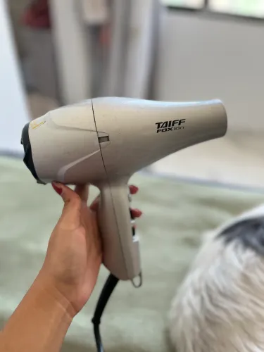 Secador de Cabelo Taiff Fox Íon 2000W Prata - Usado (Ótimo Estado)