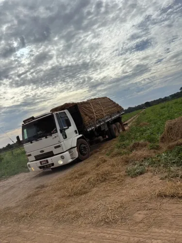 Ford cargo 2422 carroceria graneleiro 04