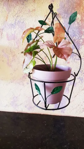 Suporte para vaso de plantas com mão francesa 