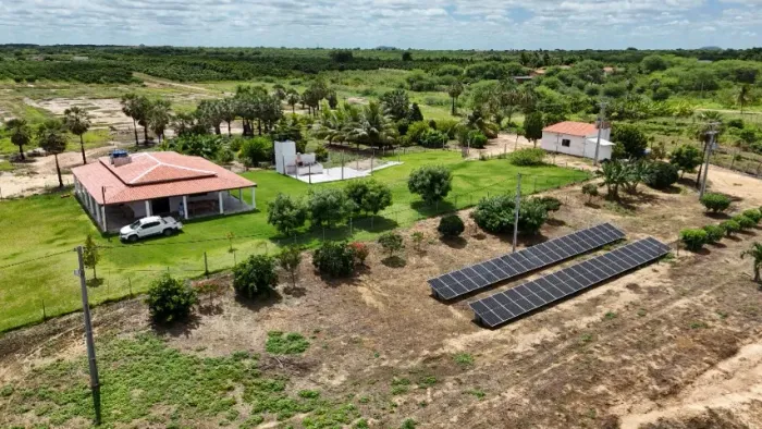 Fazenda de manga produtiva a venda em Juazeiro