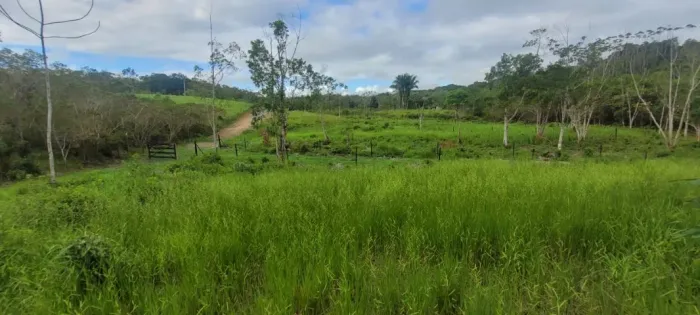 CHÁCARA TODA EM PASTO - VISTA LINDA - PRONTA PARA CONSTRUIR