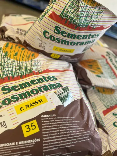 Sementes para Plantio 