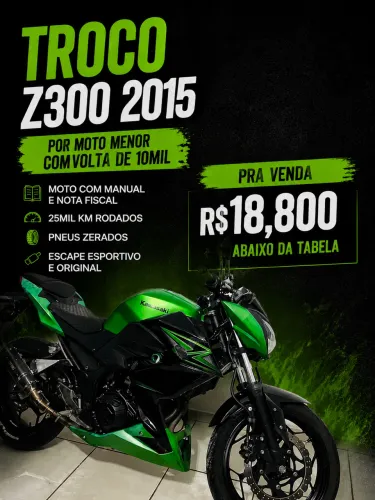 Kawasaki z300