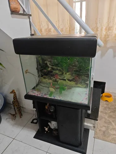 Aquário 40 litros con armario