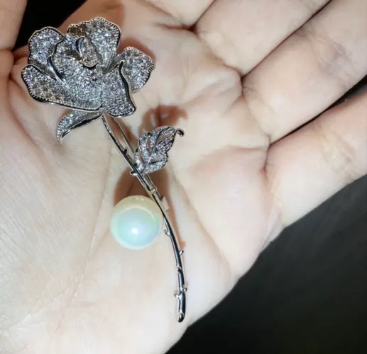 Broche todo cravejado 