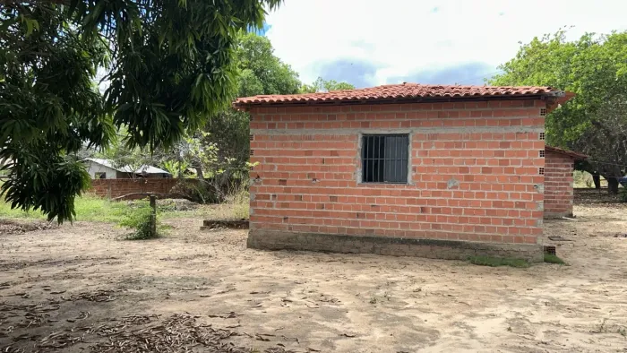 Terreno 