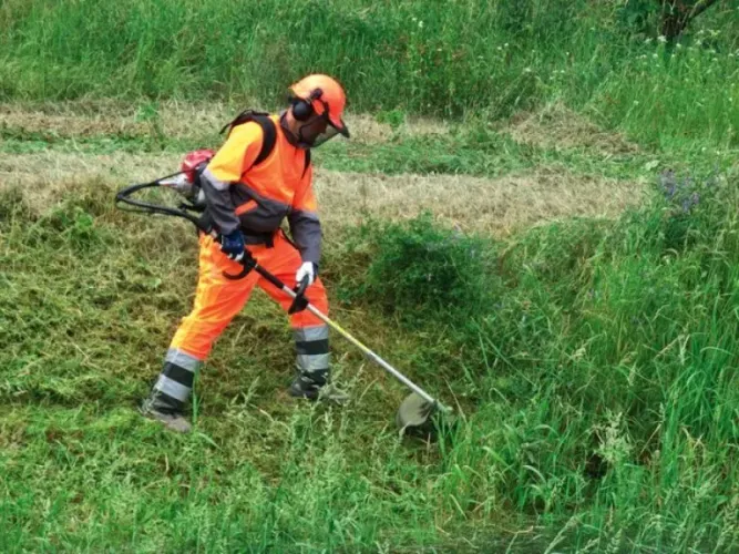 Trabalho com roçagem
