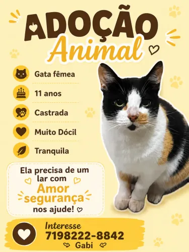 Doação Animal 