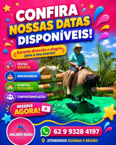 TOURO MECÂNICO P/ LOCAÇÃO ? 