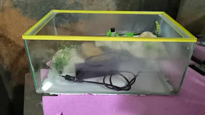 Aquaterrário para Tartaruga / Peixes com Plataforma Decorada + Filtro OceanTech