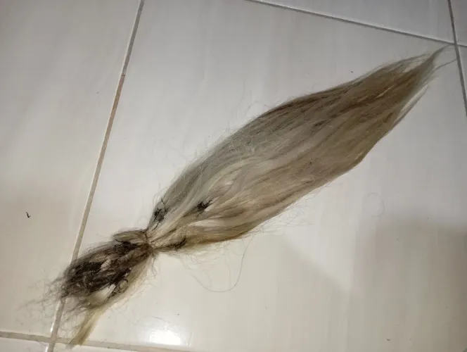 Cabelo Brasileiro Loiro 55cm 110 gramas